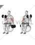 Dumbbell Alternating Seated Bicep Curl on Exercise Ball