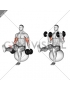Dumbbell Bicep Curl on Exercise Ball with Leg Raised