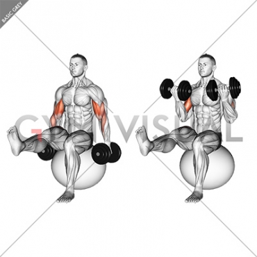 Dumbbell Bicep Curl on Exercise Ball with Leg Raised