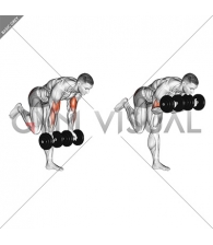 Dumbbell Bicep Curl With Stork Stance