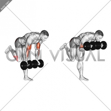 Dumbbell Bicep Curl With Stork Stance