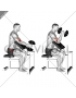 Dumbbell One Arm Hammer Preacher Curl