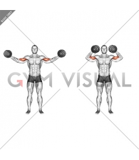 Dumbbell High Curl