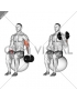 Dumbbell One Arm Seated Bicep Curl on Exercise Ball