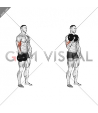 Dumbbell One Arm Standing Curl