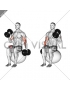 Dumbbell Seated Alternate Hammer Curl on Exercise Ball