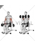 Dumbbell Seated Bicep Curl