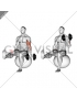 Dumbbell Seated One Arm Bicep Curl on Exercise Ball with Leg Raised