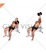 Dumbbell Incline One Arm Hammer Press