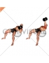 Dumbbell One Arm Hammer Press on Exercise Ball