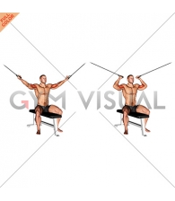 Cable Seated Overhead Curl