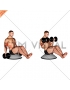 Dumbbell Biceps Curl V Sit on Bosu Ball