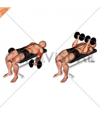 Dumbbell Lying Supine Biceps Curl