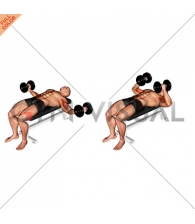 Dumbbell Lying Wide Curl
