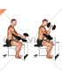 Dumbbell One Arm Hammer Preacher Curl