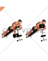 Dumbbell One Arm Prone Curl