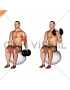 Dumbbell One Arm Seated Bicep Curl on Exercise Ball