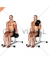 Dumbbell One Arm Seated Hammer Curl