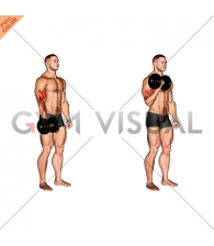 Dumbbell One Arm Standing Curl