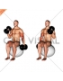 Dumbbell Seated Alternate Hammer Curl on Exercise Ball