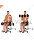 Dumbbell Seated Bicep Curl