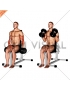 Dumbbell Seated Hammer Curl