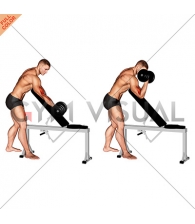 Dumbbell Standing One Arm Curl Over Incline Bench