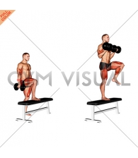 Dumbbell Step Up Single Leg Balance with Bicep Curl