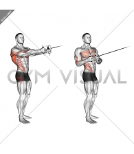 Cable Standing Twist Row (V-bar)