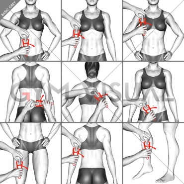 Body fat measurement (female)