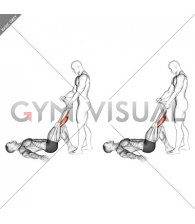 Assisted Lying Gastrocnemius Stretch