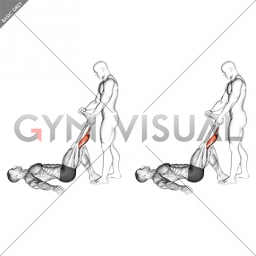 Assisted Lying Gastrocnemius Stretch