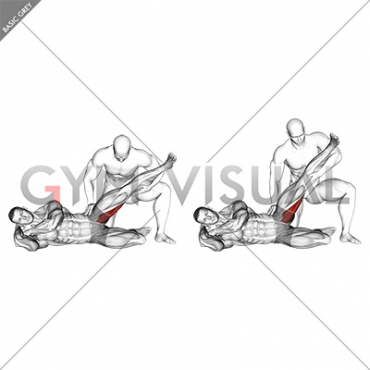 Assisted Side Lying Adductor Stretch