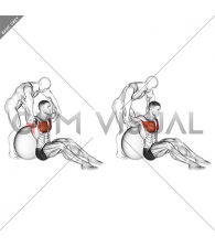 Assisted Seated Pectoralis Major Stretch With Stability Ball