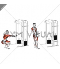 Cable Squat Row (with rope attachment)