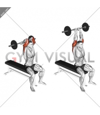 Barbell Seated Close grip Behind Neck Triceps Extension