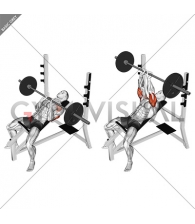 Barbell Incline Close Grip Bench Press