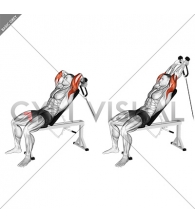 Cable Rope Incline Tricep Extension