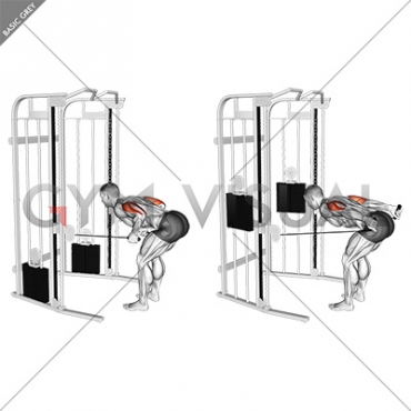 Cable Two Arm Tricep Kickback