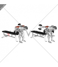 Dumbbell Seated Bent Over Alternate Kickback