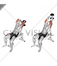 Dumbbell Incline Two Arm Extension