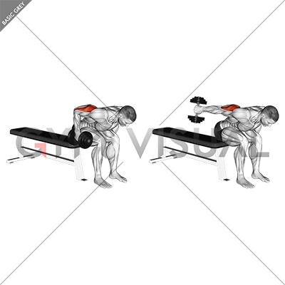 Dumbbell Seated Bent Over Triceps Extension