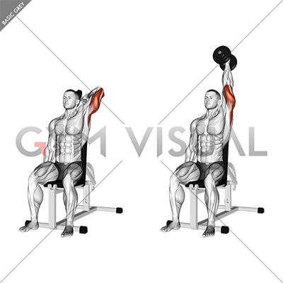 one armed overhead dumbbell triceps extension