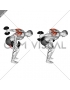 Dumbbell Standing Alternating Tricep Kickback