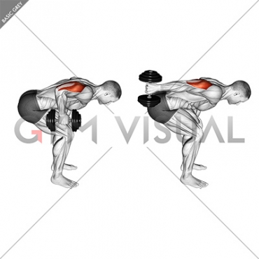 Dumbbell Standing Bent Over One Arm Triceps Extension