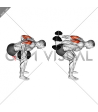 Dumbbell Standing Bent Over Two Arm Triceps Extension