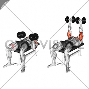 Dumbbell Twisting Bench Press