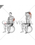 Exercise Ball Seated Triceps Stretch