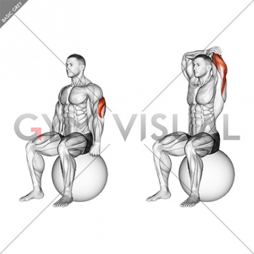 Exercise Ball Seated Triceps Stretch