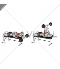 EZ Bar Lying Close Grip Triceps Extension Behind Head